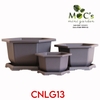 CNLG13 - Chậu Nhựa Lục Giác Mã 13 (3 size)