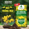 Đất Trồng Mai Sfarm (Bao 20dm3)