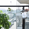 DC36_Bình Tưới Cây Tự Động (2 mẫu)