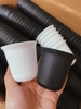 CNT10 - Chậu nhựa mã 10 (5 size)