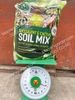 Giá thể trồng sen đá & xương rồng Soil Mix B.A
