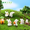 TH28_Thỏ săn carrot