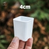 CNV14 - Chậu Vuông Mini