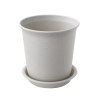 CNT12 - Chậu Nhựa Mã 12 (4 size - 2 màu)