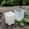 CNV14 - Chậu Vuông Mini
