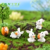 TH28_Thỏ săn carrot