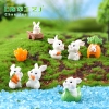 TH28_Thỏ săn carrot