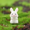 TH28_Thỏ săn carrot