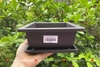 CN06 - Chậu nhựa đen - nhiều size
