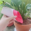 DC45_Ống xúc đất