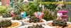 Diatomite - Đất Tảo Cát Hữu Cơ (3-6mm)