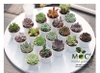 Set 100 Chậu CNT07 - Chậu nhựa ECO (6.8*5.8cm)