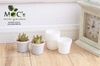 Set 100 Chậu CNT07 - Chậu nhựa ECO (6.8*5.8cm)