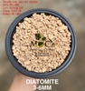 Diatomite - Đất Tảo Cát Hữu Cơ (3-6mm)