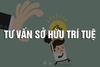 Tư vấn Sở hữu trí tuệ