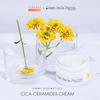 Diego Dalla Palma – CICA-CERAMIDES CREAM – Kem dưỡng hỗ trợ làm dịu & phục hồi da, tái cân bằng cho da khô & da nhạy cảm (50ml)