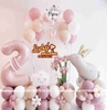 Set Bóng Bay Sinh Nhật Bé Gái Hà Nội