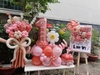 Bảng Hoa Bóng Sinh Nhật Daisy Signboard Tại Hà Nội