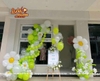 Cổng Bóng Khai Trương Hà Nội