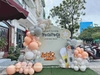 Trang trí khai trương giá rẻ Hà Nội