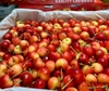 Cherry vàng Mỹ