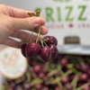 Cherry Canada con gấu