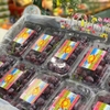 Nho kẹo Nho Candy Mỹ