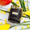 grunt-eaa-30-servings