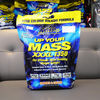 up-your-mass-xxxl-1350-12lbs