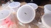 DATEL SC-2320 II Loa Âm Trần 2 Way, Hi-rest audio - Size 23cm