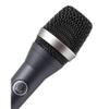 AKG D5 - Professional dynamic supercardioid vocal microphone