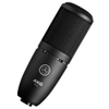 AKG P120