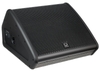Turbosound TFX122M (Monitor)