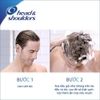 dg-head-shoulders-huong-chanh-tri-da-dau-chai-625ml