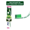 bcdr-p-s-muoi-tre-48-cay