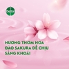 nuoc-rua-tay-dettol-khang-khuan-cham-soc-da-250g