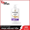dg-pantene-phuc-hoi-hu-ton-chai-650ml
