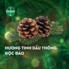 xa-bong-cuc-dettol-khang-khuan-xanh-100g