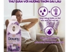 nuoc-xa-vai-downy-huong-hoa-oai-huong-nuoc-phap-800-ml-chai