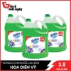 nls-sunlight-hoa-ha-va-bac-ha-can-3-6kg