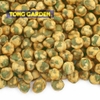 dau-ha-lan-tong-graden-vi-bao-muc-cam-goi-45-gram