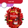nxv-downy-huong-dam-me-tui-4l