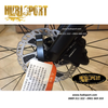GIANT ESCAPE 1 2020