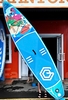 FLAMINGO - FG335 - GQ Board - SUP / Ván chèo đứng bơm hơi