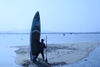 SPRING - SP350 - JS Board - SUP / Ván chèo đứng bơm hơi