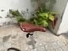 Xe đạp gấp DAHON Broadwalk  D10 HAC003