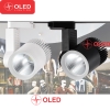 Đèn Led Rọi 20W COB-510