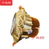 Đèn Led Downlight Âm Trần 12W -MV - DOLTT
