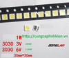 den-led-3030-6v-1w