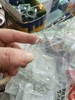 bong-den-cau-chi-loa-bosee-h-50